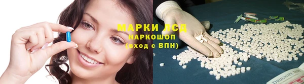 прущая мука Верея