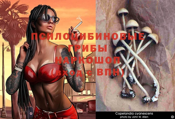 твердый Покровск